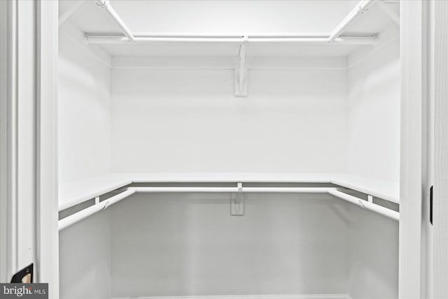 105 Cammack St, Louisa, VA 23093 - view of walk in closet