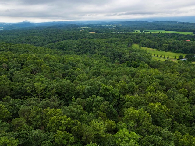 0 Tower Mountain Lane, Mount Jackson, VA 22842