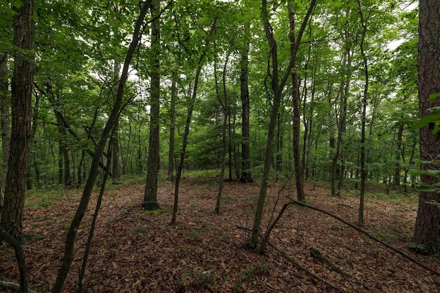 0 Tower Mountain Lane, Mount Jackson, VA 22842