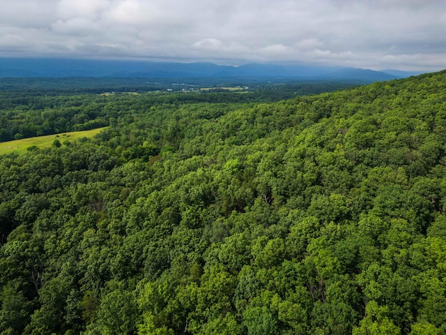 0 Tower Mountain Lane, Mount Jackson, VA 22842