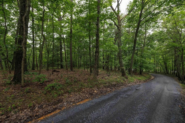 0 Tower Mountain Lane, Mount Jackson, VA 22842