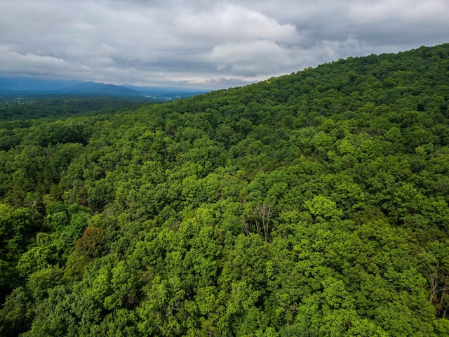 0 Tower Mountain Lane, Mount Jackson, VA 22842