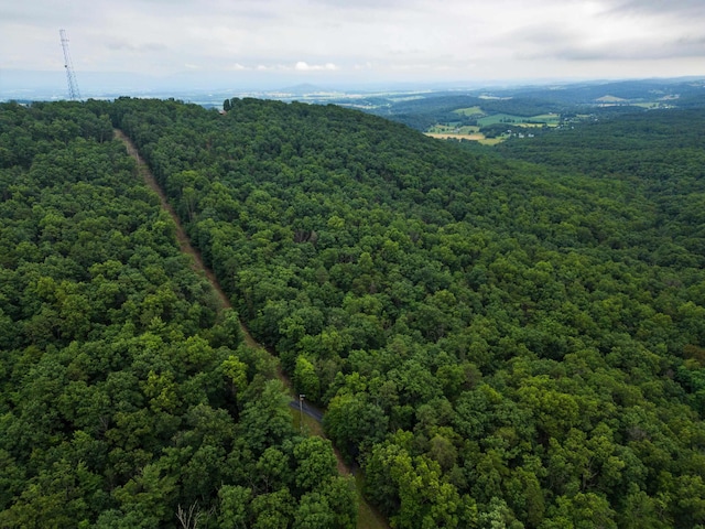 0 Tower Mountain Lane, Mount Jackson, VA 22842
