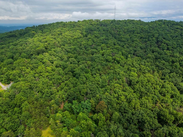 0 Tower Mountain Lane, Mount Jackson, VA 22842