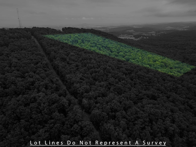 0 Tower Mountain Lane, Mount Jackson, VA 22842