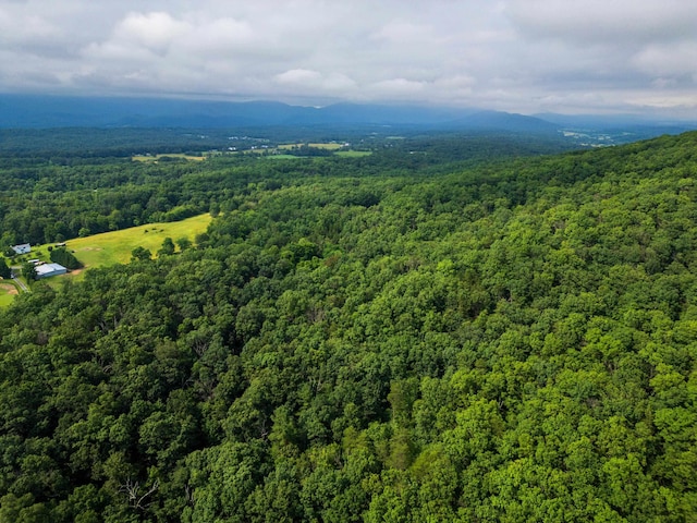 0 Tower Mountain Lane, Mount Jackson, VA 22842