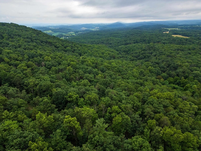 0 Tower Mountain Lane, Mount Jackson, VA 22842