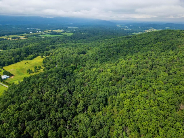 0 Tower Mountain Lane, Mount Jackson, VA 22842