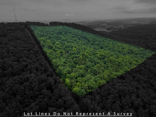 0 Tower Mountain Lane, Mount Jackson, VA 22842