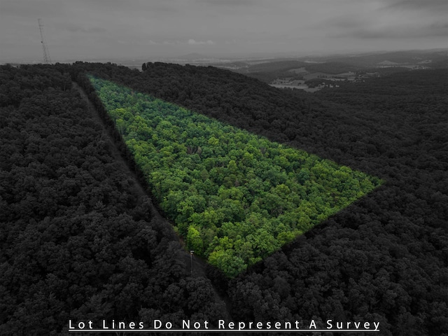 0 Tower Mountain Lane, Mount Jackson, VA 22842