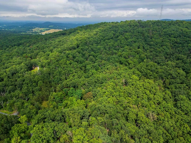0 Tower Mountain Lane, Mount Jackson, VA 22842