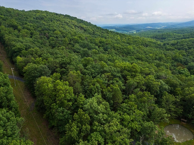 0 Tower Mountain Lane, Mount Jackson, VA 22842