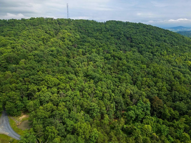 0 Tower Mountain Lane, Mount Jackson, VA 22842