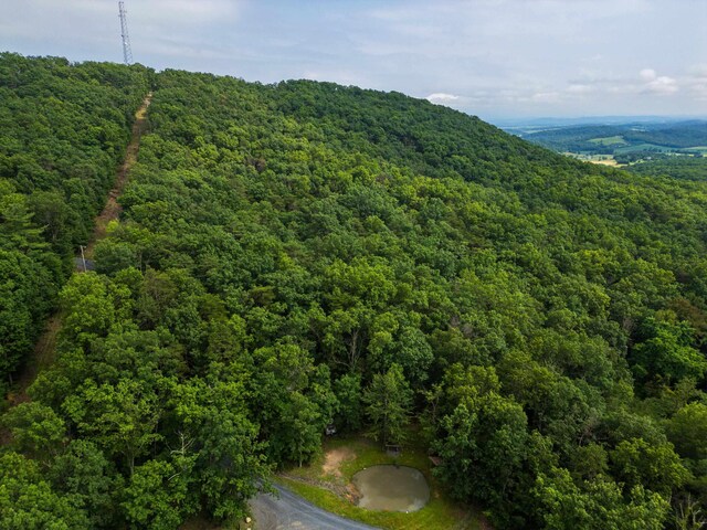 0 Tower Mountain Lane, Mount Jackson, VA 22842