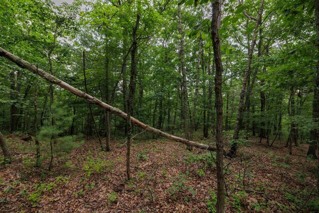 0 Tower Mountain Lane, Mount Jackson, VA 22842