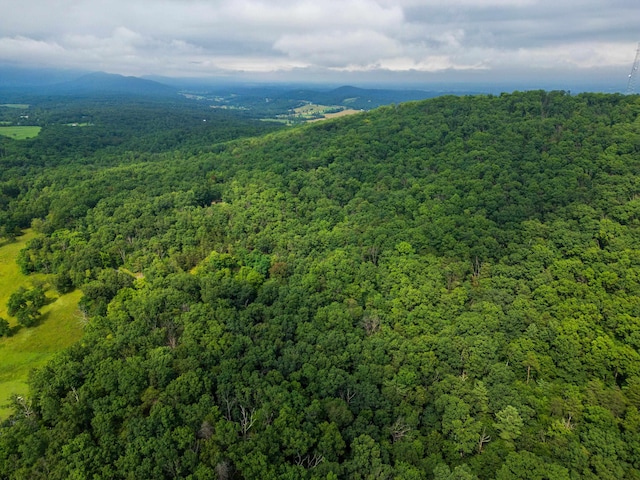 0 Tower Mountain Lane, Mount Jackson, VA 22842