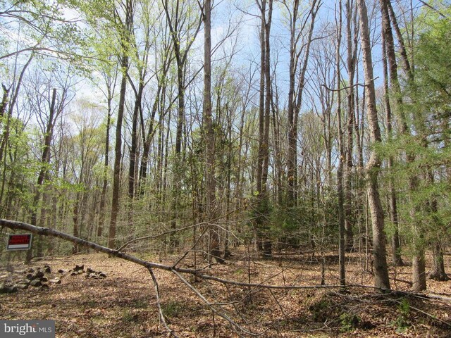 Old Office Rd, Rhoadesville, VA 22542