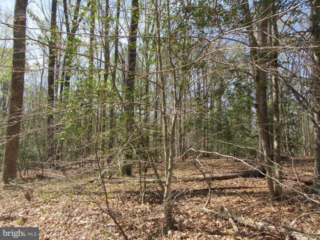 Old Office Rd, Rhoadesville, VA 22542