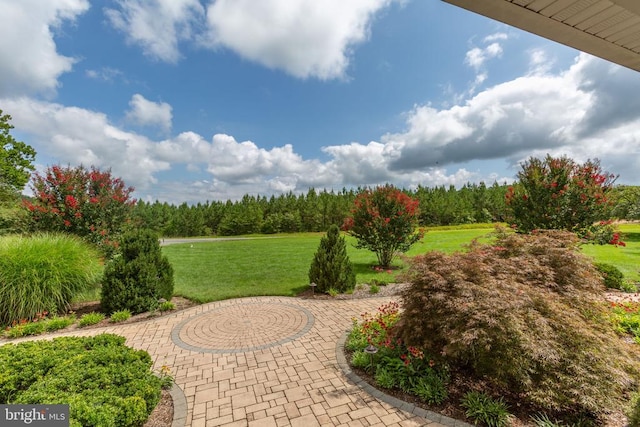 31260 Eleys Ford Rd, Fredericksburg, VA 22407 - photo 39