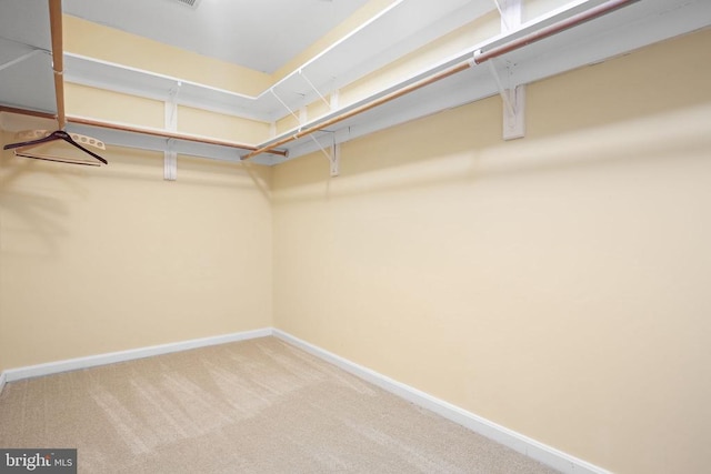 6511 Prospect St, Fredericksburg, VA 22407 - photo 41