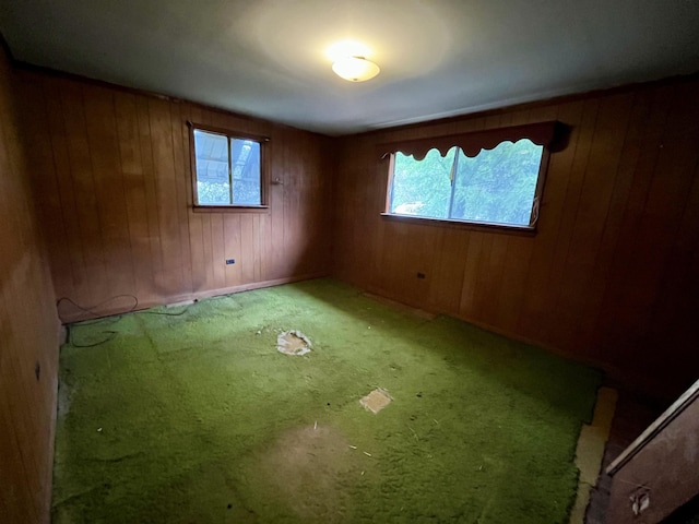 carpeted spare room featuring a wealth of natural light and wooden walls