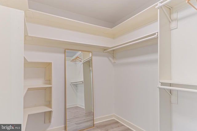 walk in closet featuring wood finished floors