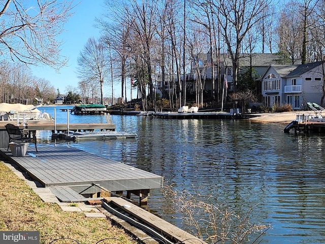 dock area with a water view
