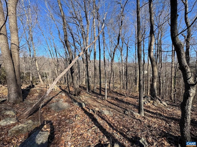 TBD Edmond Dr, Crozet, VA 22932