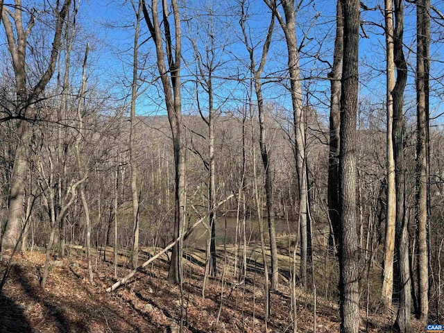 TBD Edmond Dr, Crozet, VA 22932
