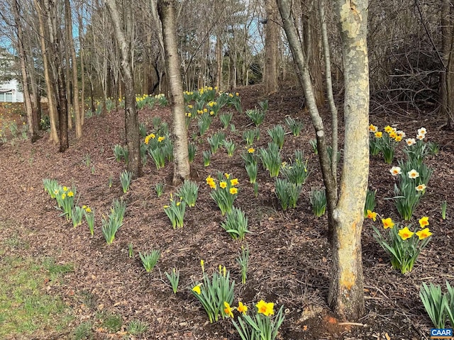 TBD Edmond Dr, Crozet, VA 22932