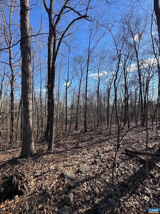 TBD Edmond Dr, Crozet, VA 22932