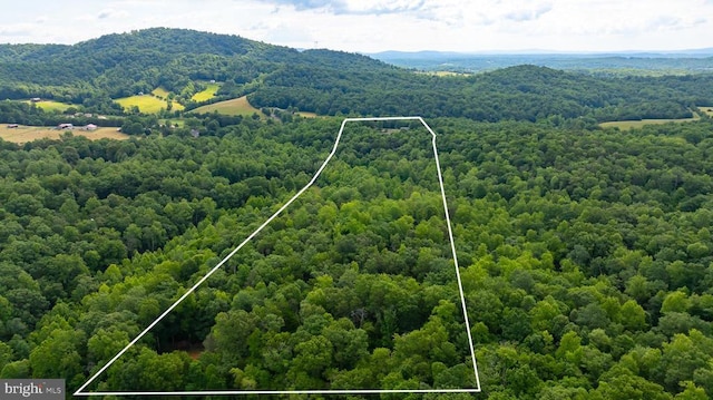 drone / aerial view with a mountain view and a forest view