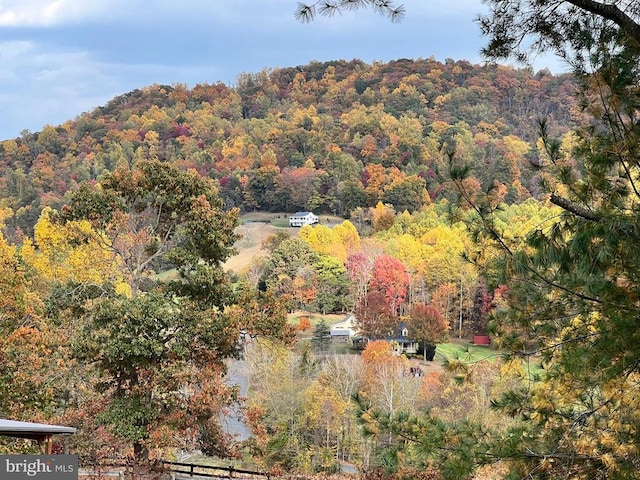 mountain view with a view of trees