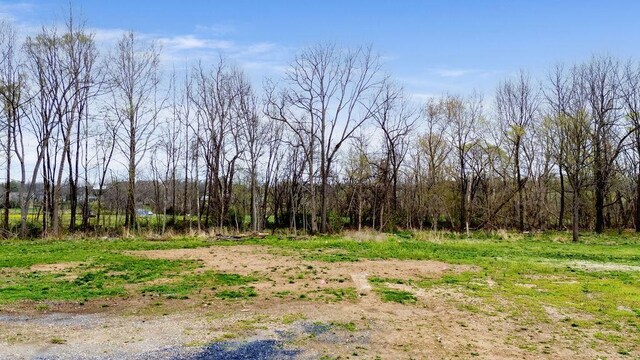 TBD Churchville Avenue, Churchville, VA 24421 - photo 8