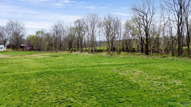 TBD Churchville Avenue, Churchville, VA 24421 - photo 6
