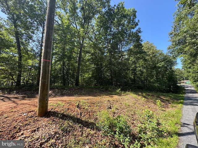 9609 Peppertree Rd, Spotsylvania, VA 22553 - photo 4