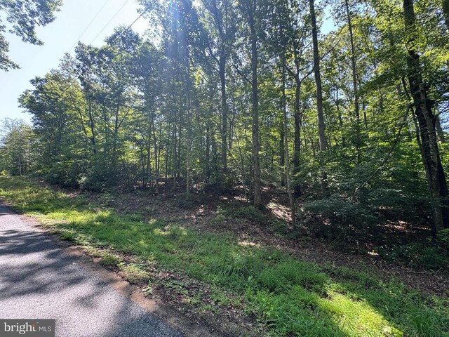 9609 Peppertree Rd, Spotsylvania, VA 22553 - photo 2