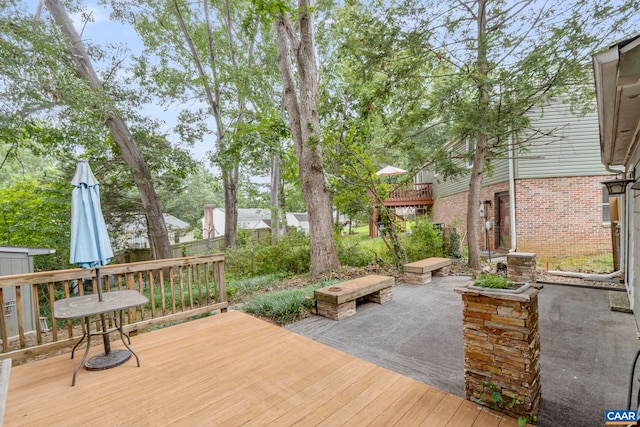 100 Grimes Pl, Charlottesville, VA 22902 - photo 55