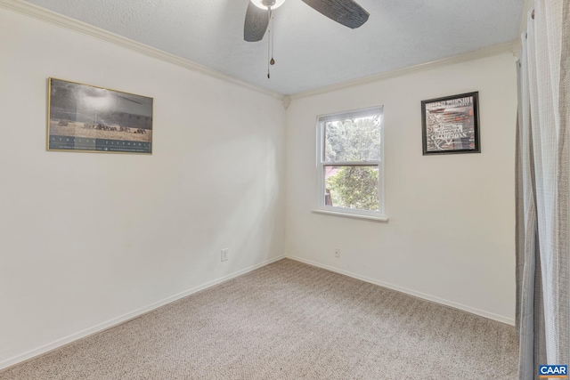 100 Grimes Pl, Charlottesville, VA 22902 - photo 25