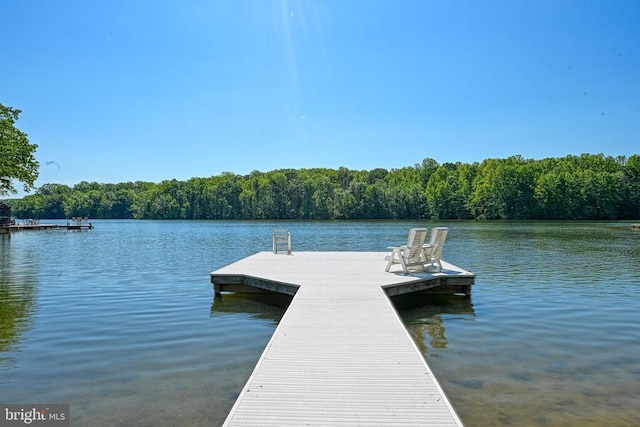 129 Lois Ln, Mineral, VA 23117 - dock area featuring a water view and a wooded view