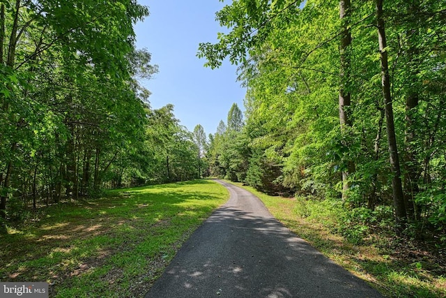 129 Lois Ln, Mineral, VA 23117 - view of road featuring a wooded view