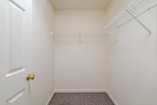 1084 Cherrybrook Dr, Harrisonburg, VA 22802 - photo 26