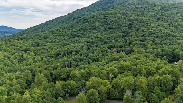96ACRES Blackwells Hollow Rd, Crozet, VA 22932