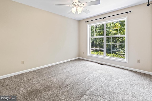 573 Liberty Ln, Madison, VA 22727 - photo 23
