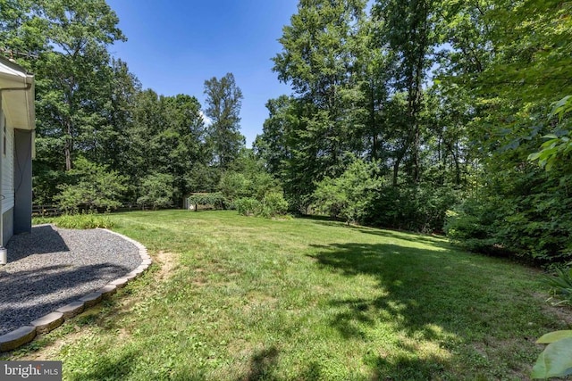 573 Liberty Ln, Madison, VA 22727 - photo 38