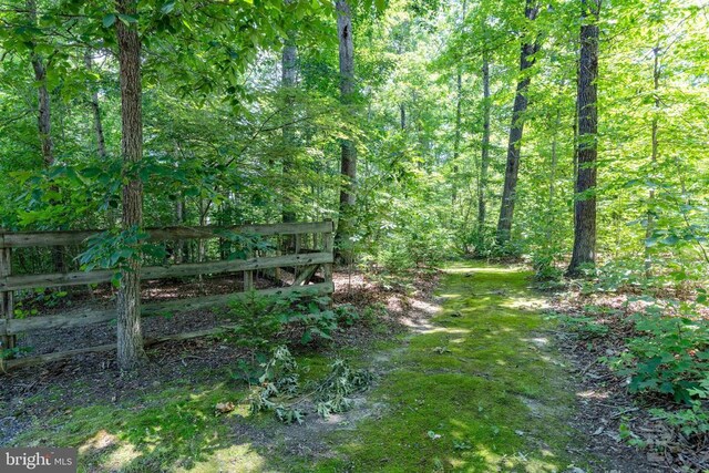 573 Liberty Ln, Madison, VA 22727 - photo 47