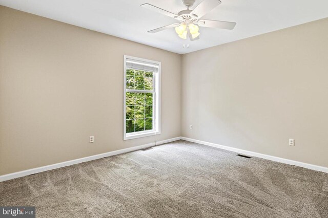 573 Liberty Ln, Madison, VA 22727 - photo 21