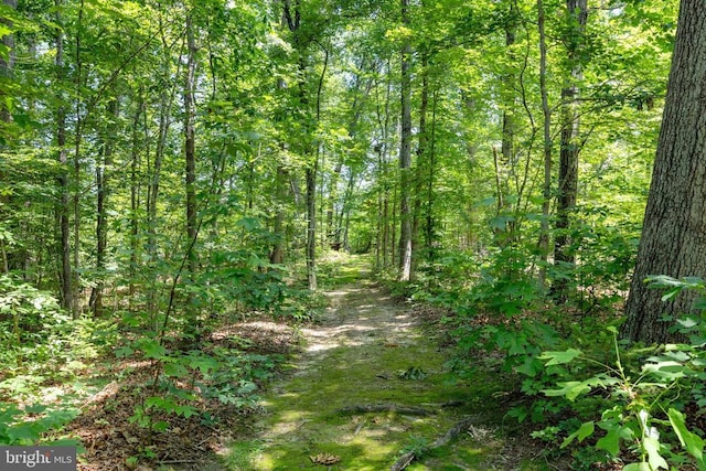 573 Liberty Ln, Madison, VA 22727 - photo 48