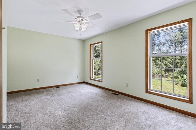 573 Liberty Ln, Madison, VA 22727 - photo 18