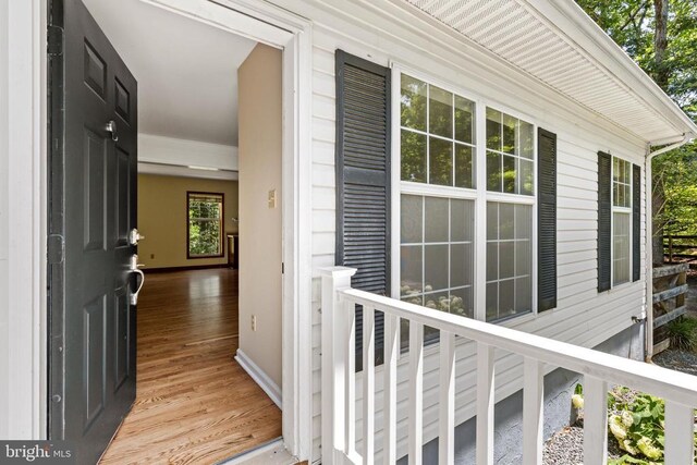 573 Liberty Ln, Madison, VA 22727 - photo 4